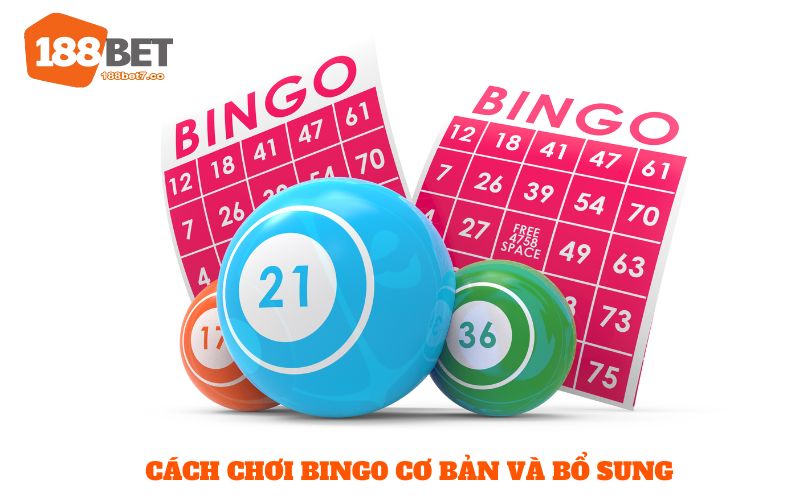 Cách chơi Bingo cơ bản và bổ sung