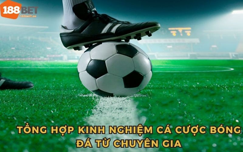 Tổng hợp kinh nghiệm cá cược bóng đá từ chuyên gia cực hay