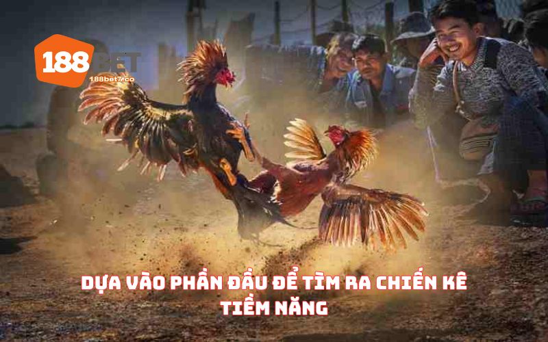 Dựa vào phần đầu để tìm ra chiến kê tiềm năng